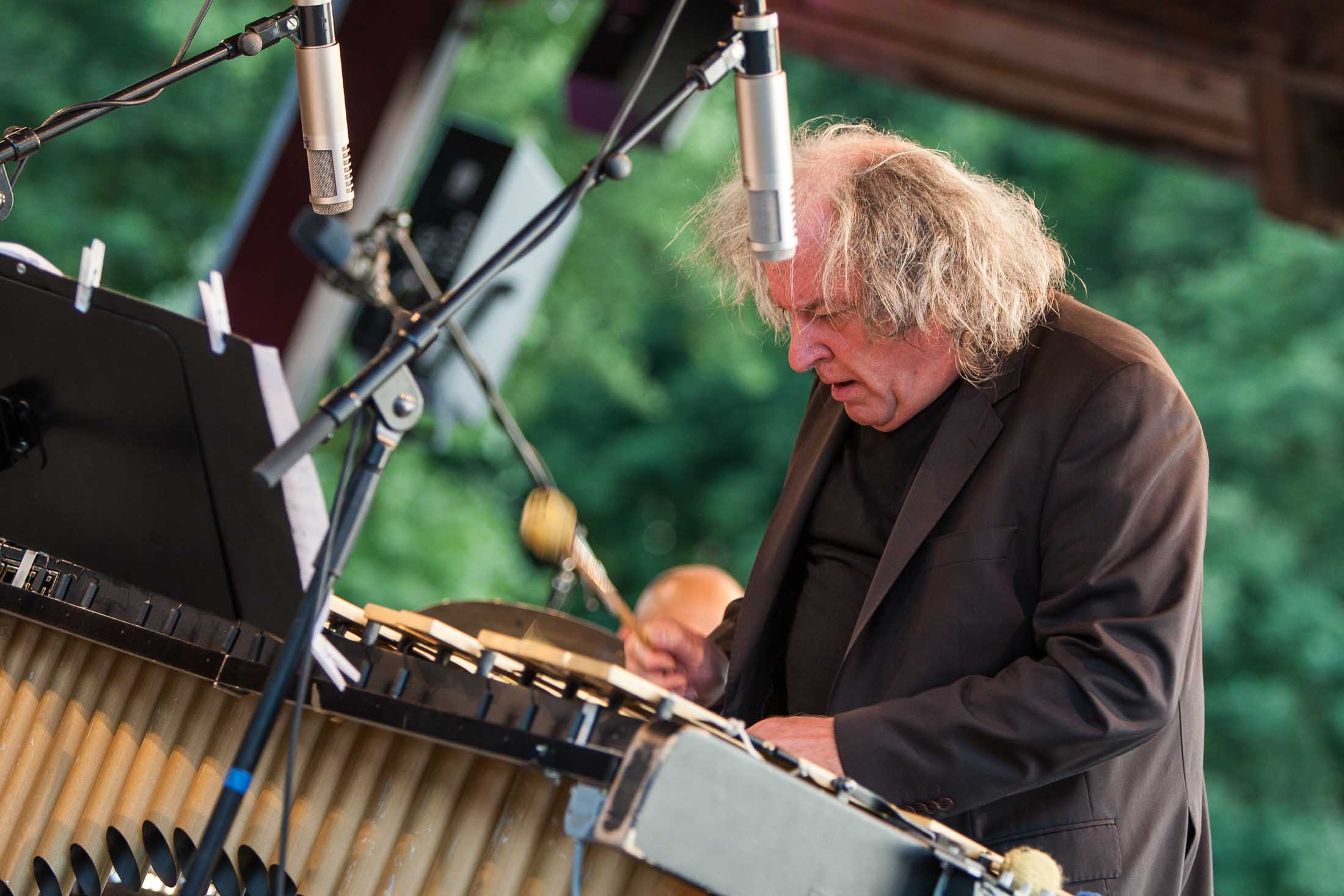 Christian Stock Trio feat. Dizzy Krisch, Libor Sima - 22. Int. Augsburger Jazzsommer (Foto: Herbert Heim)