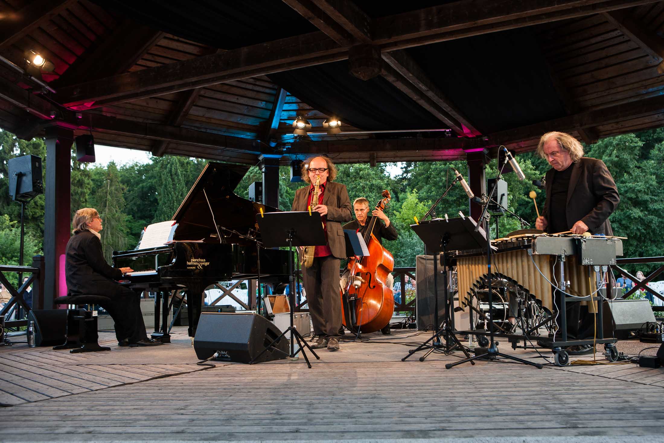 Christian Stock Trio feat. Dizzy Krisch, Libor Sima - 22. Int. Augsburger Jazzsommer (Foto: Herbert Heim)