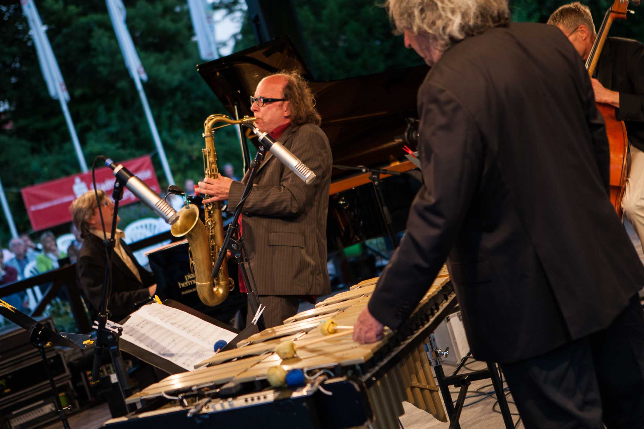 Christian Stock Trio feat. Dizzy Krisch, Libor Sima - 22. Int. Augsburger Jazzsommer (Foto: Herbert Heim)