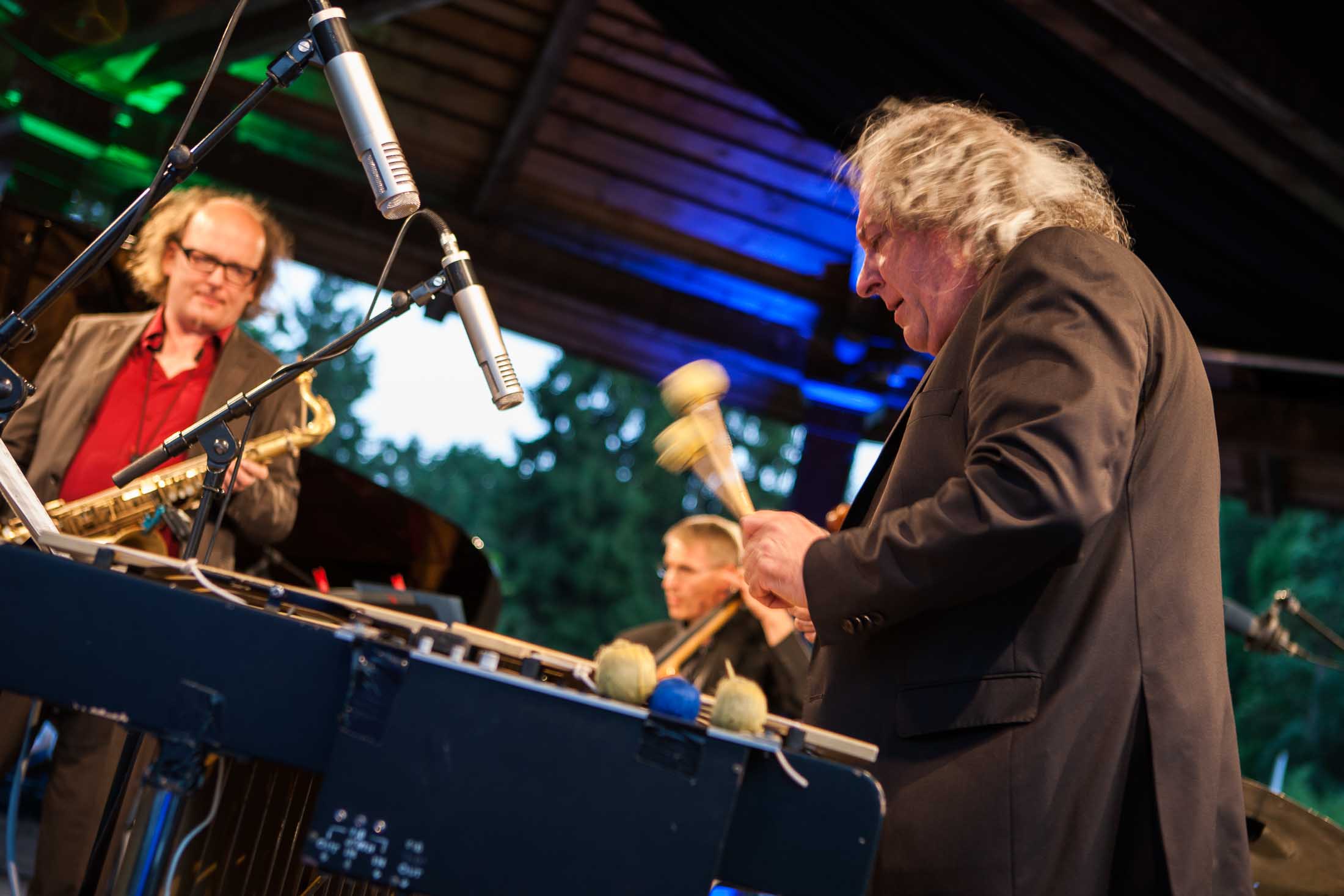 Christian Stock Trio feat. Dizzy Krisch, Libor Sima - 22. Int. Augsburger Jazzsommer (Foto: Herbert Heim)
