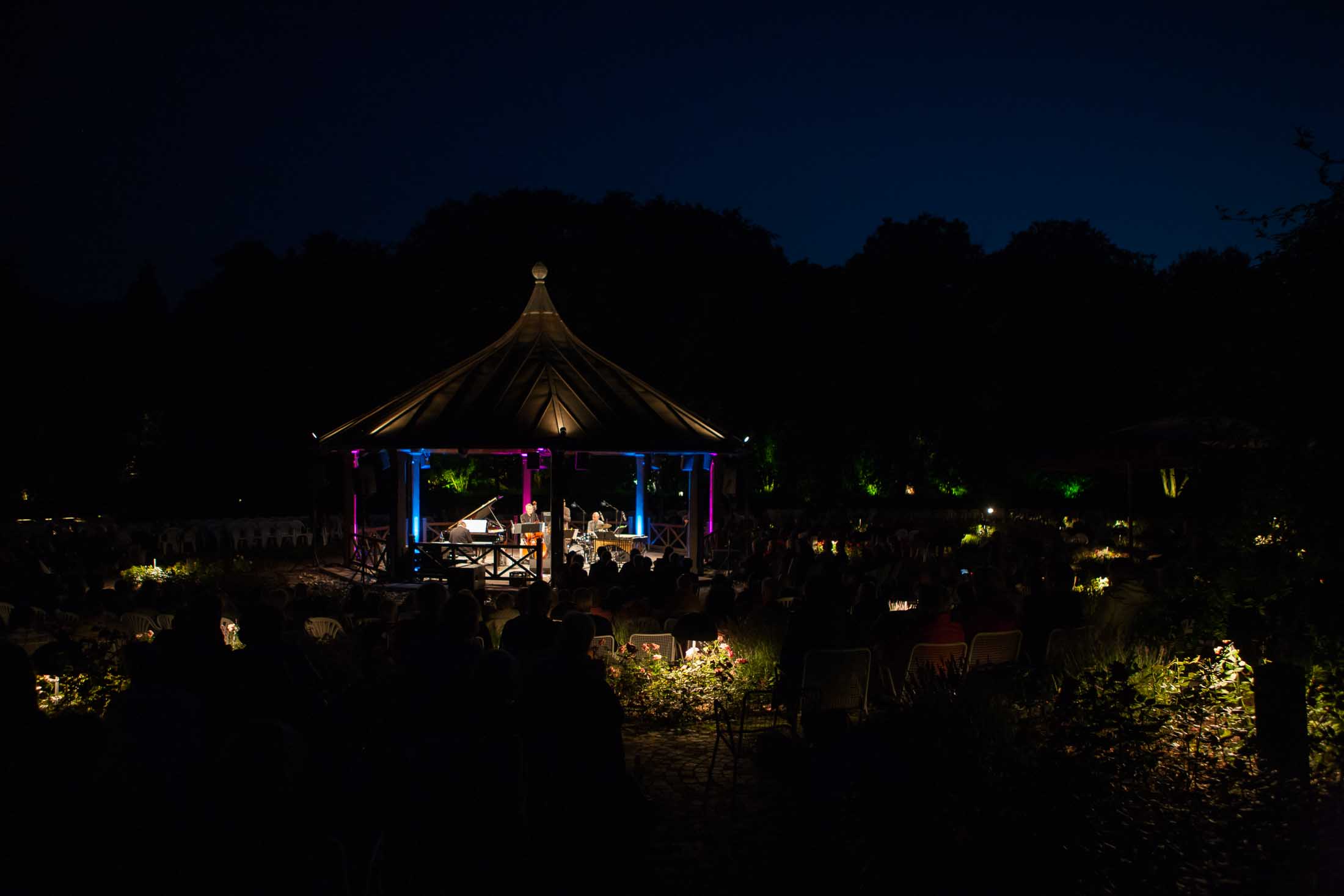 Christian Stock Trio feat. Dizzy Krisch, Libor Sima - 22. Int. Augsburger Jazzsommer (Foto: Herbert Heim)