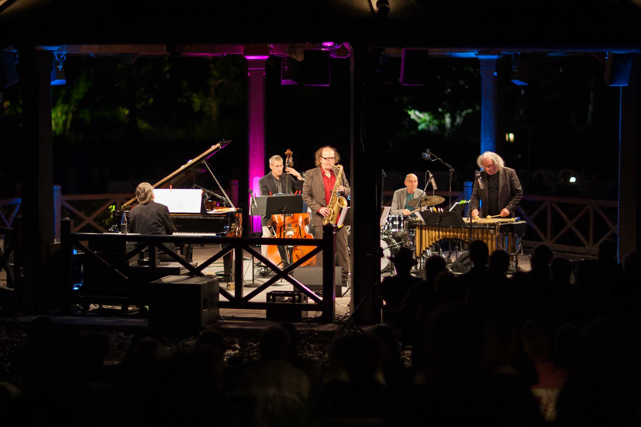 Christian Stock Trio feat. Dizzy Krisch, Libor Sima - 22. Int. Augsburger Jazzsommer (Foto: Herbert Heim)
