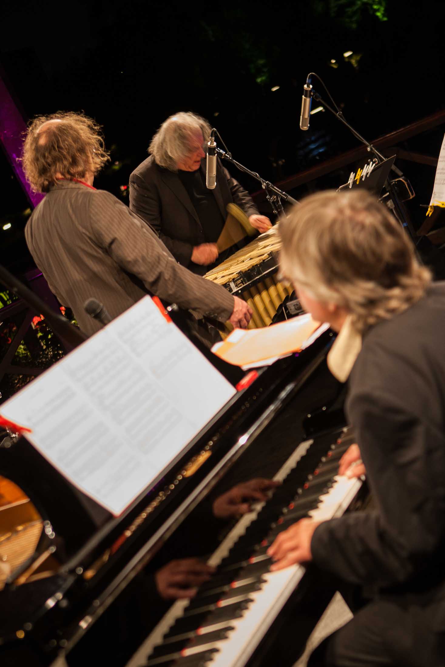 Christian Stock Trio feat. Dizzy Krisch, Libor Sima - 22. Int. Augsburger Jazzsommer (Foto: Herbert Heim)