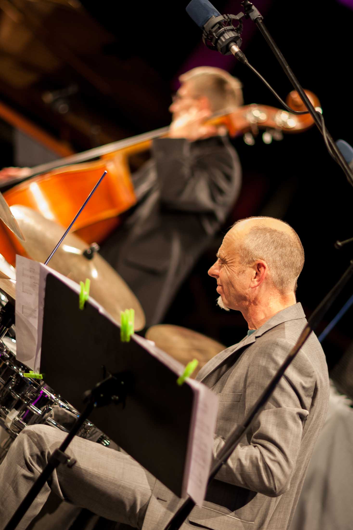 Christian Stock Trio feat. Dizzy Krisch, Libor Sima - 22. Int. Augsburger Jazzsommer (Foto: Herbert Heim)