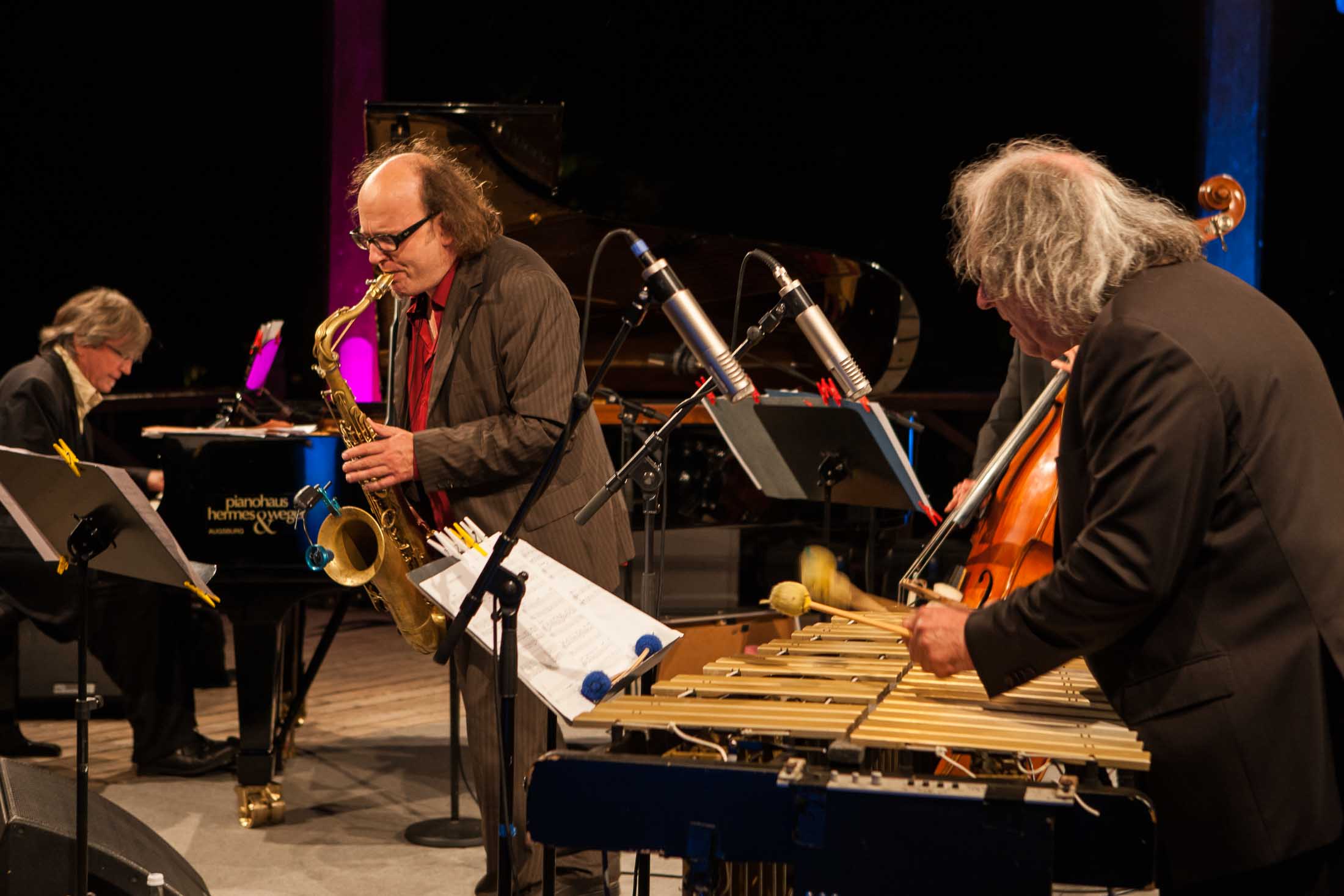 Christian Stock Trio feat. Dizzy Krisch, Libor Sima - 22. Int. Augsburger Jazzsommer (Foto: Herbert Heim)