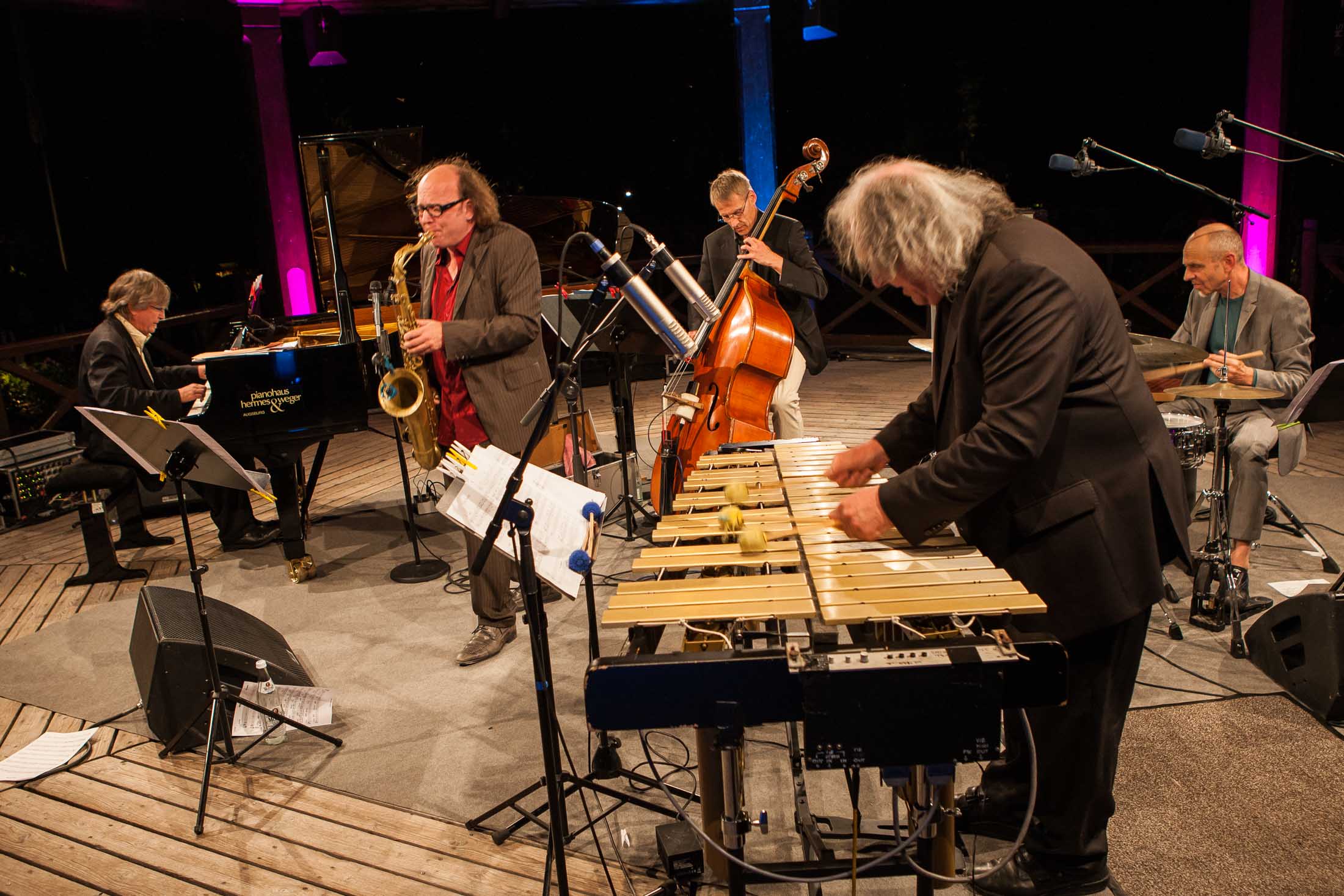 Christian Stock Trio feat. Dizzy Krisch, Libor Sima - 22. Int. Augsburger Jazzsommer (Foto: Herbert Heim)