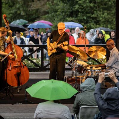 Bill Frisell Trio & Greg Tardy - 34. Internationaler Augsburger Jazzsommer (Foto: Herbert Heim)