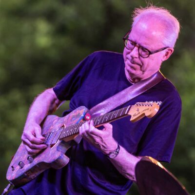 Bill Frisell Trio & Greg Tardy - 34. Internationaler Augsburger Jazzsommer (Foto: Herbert Heim)