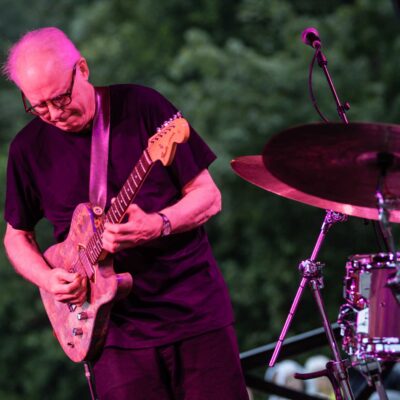Bill Frisell Trio & Greg Tardy - 34. Internationaler Augsburger Jazzsommer (Foto: Herbert Heim)