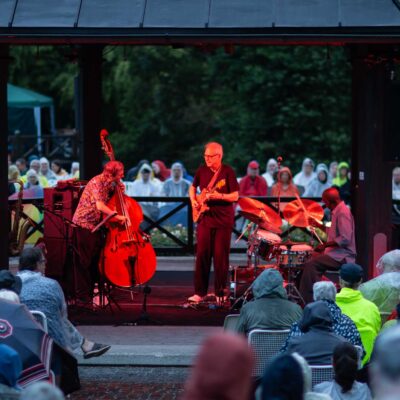 Bill Frisell Trio & Greg Tardy - 34. Internationaler Augsburger Jazzsommer (Foto: Herbert Heim)