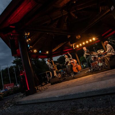 Bill Frisell Trio & Greg Tardy - 34. Internationaler Augsburger Jazzsommer (Foto: Herbert Heim)