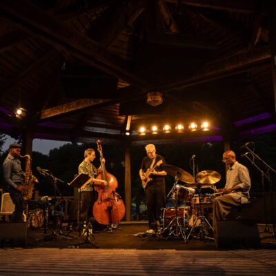 Bill Frisell Trio & Greg Tardy - 34. Internationaler Augsburger Jazzsommer (Foto: Herbert Heim)