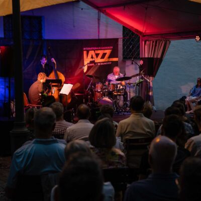 Olivier Le Goas Trio beim 34. Internationalen Augsburger Jazzsommer (Foto: Herbert Heim)